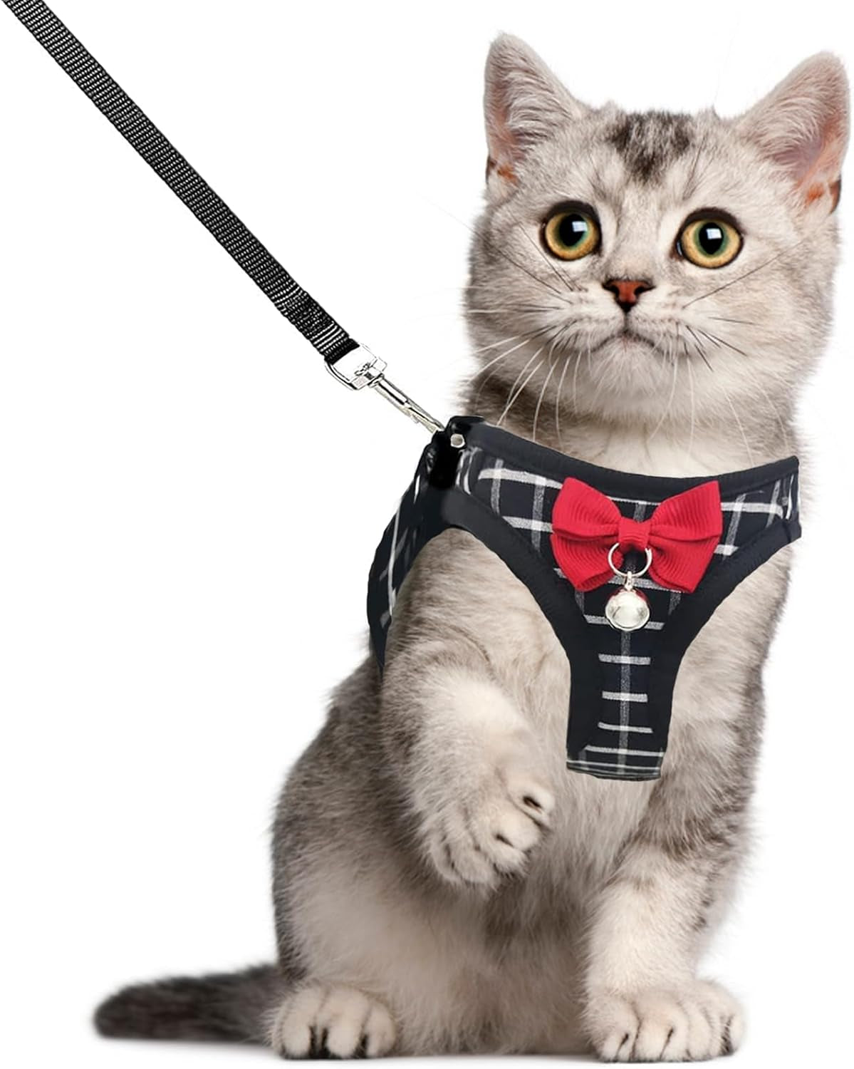 Cat Harness Leash Set Breathable Adjustable Mesh Vest
