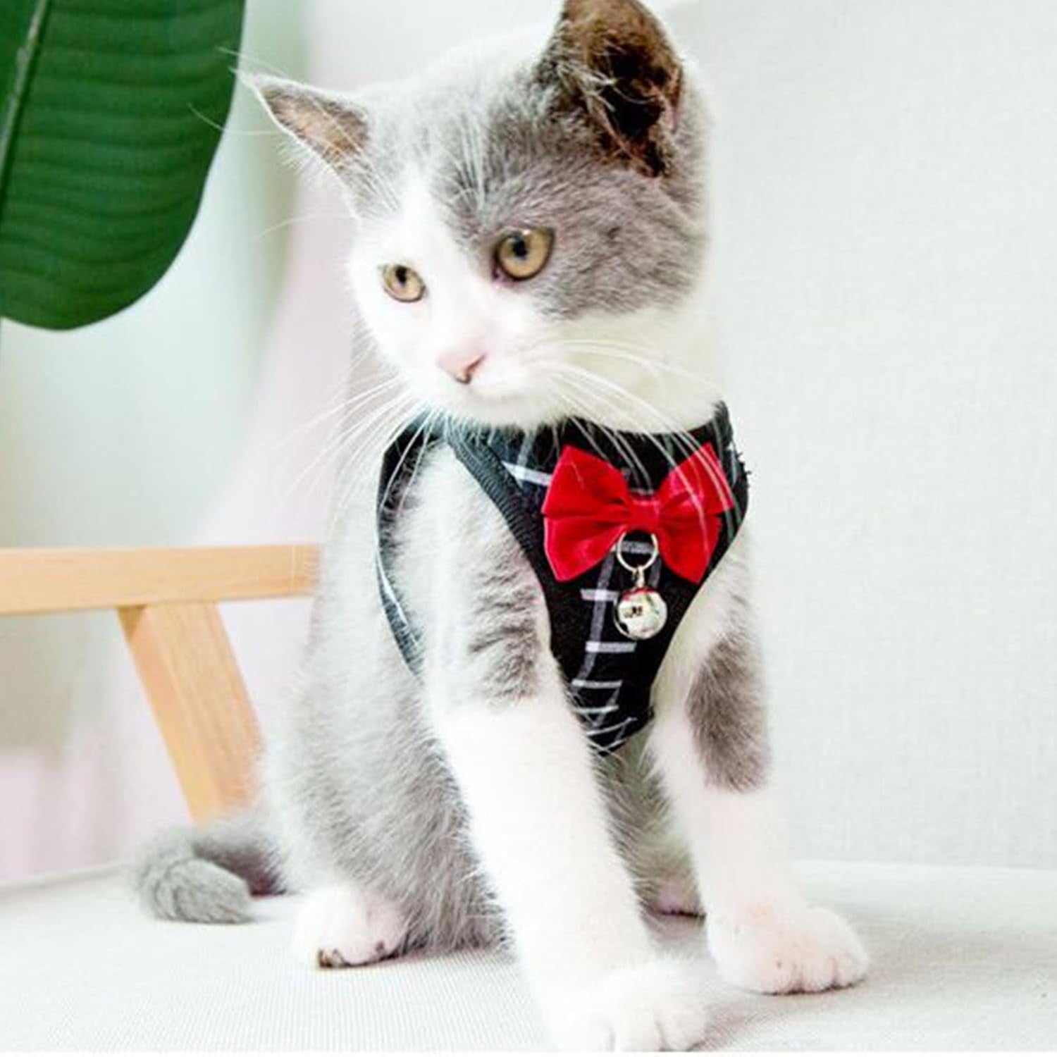 Cat Harness Leash Set Breathable Adjustable Mesh Vest