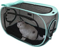 Kitty City Outdoor Catio Furniture and Play Kits for Cats, Outdoor Mega Kit