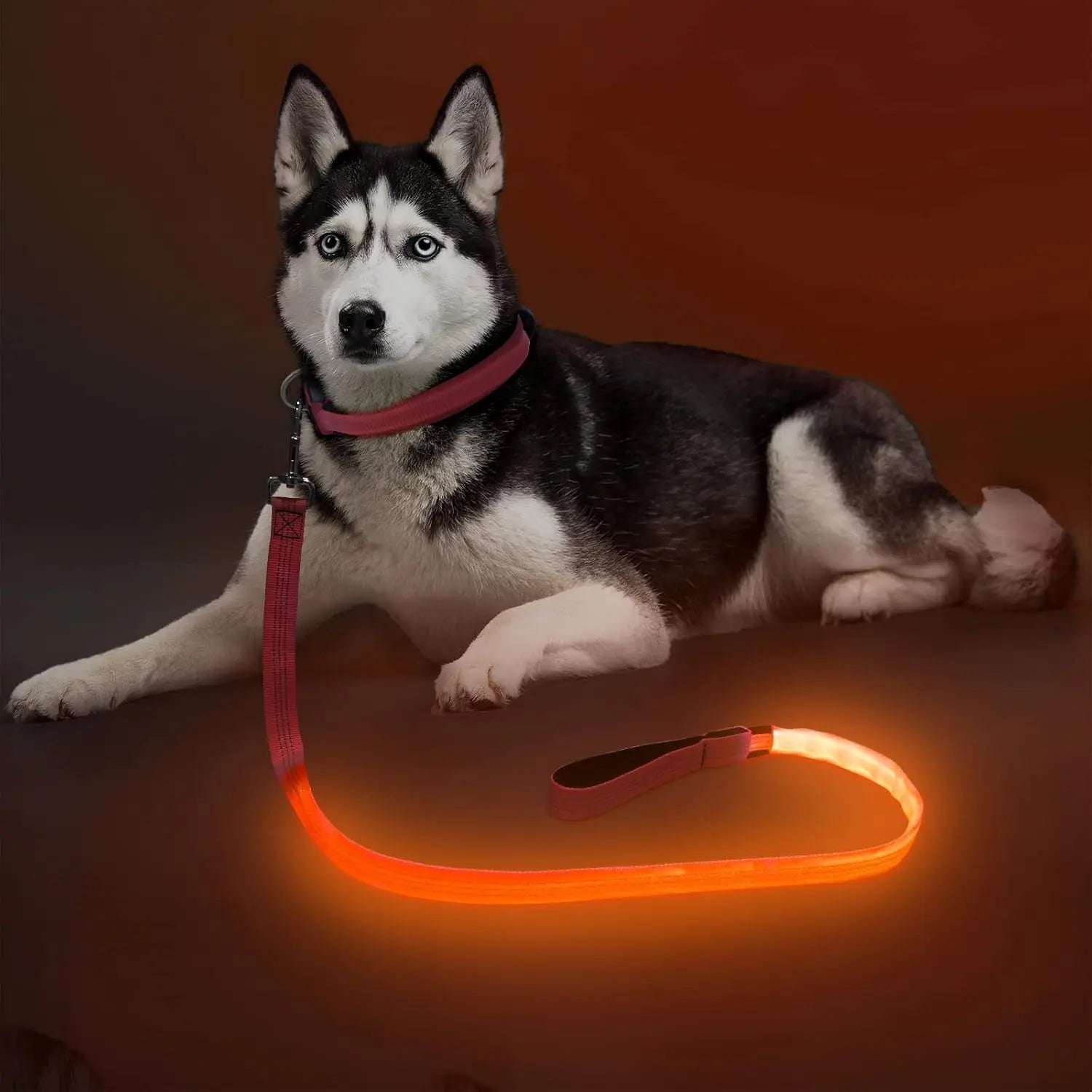 Light Up LED Dog Leash 6FT – USB Rechargeable Glow Leash for Night Safety
