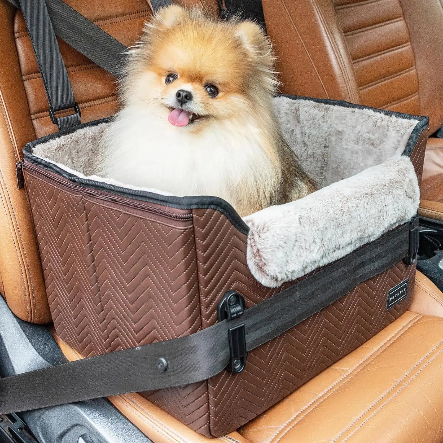 PETSFIT Small Dog Booster Car Seat with Safety Buckles & Tether, Foldable