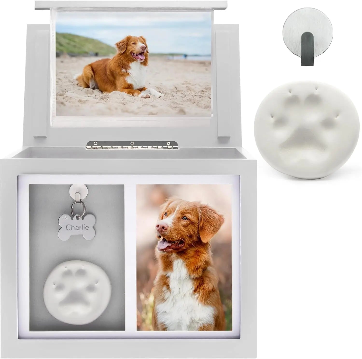 Pet Memorial Urn Keepsake Box for Dogs & Cats w/ Paw Print Kit & Album