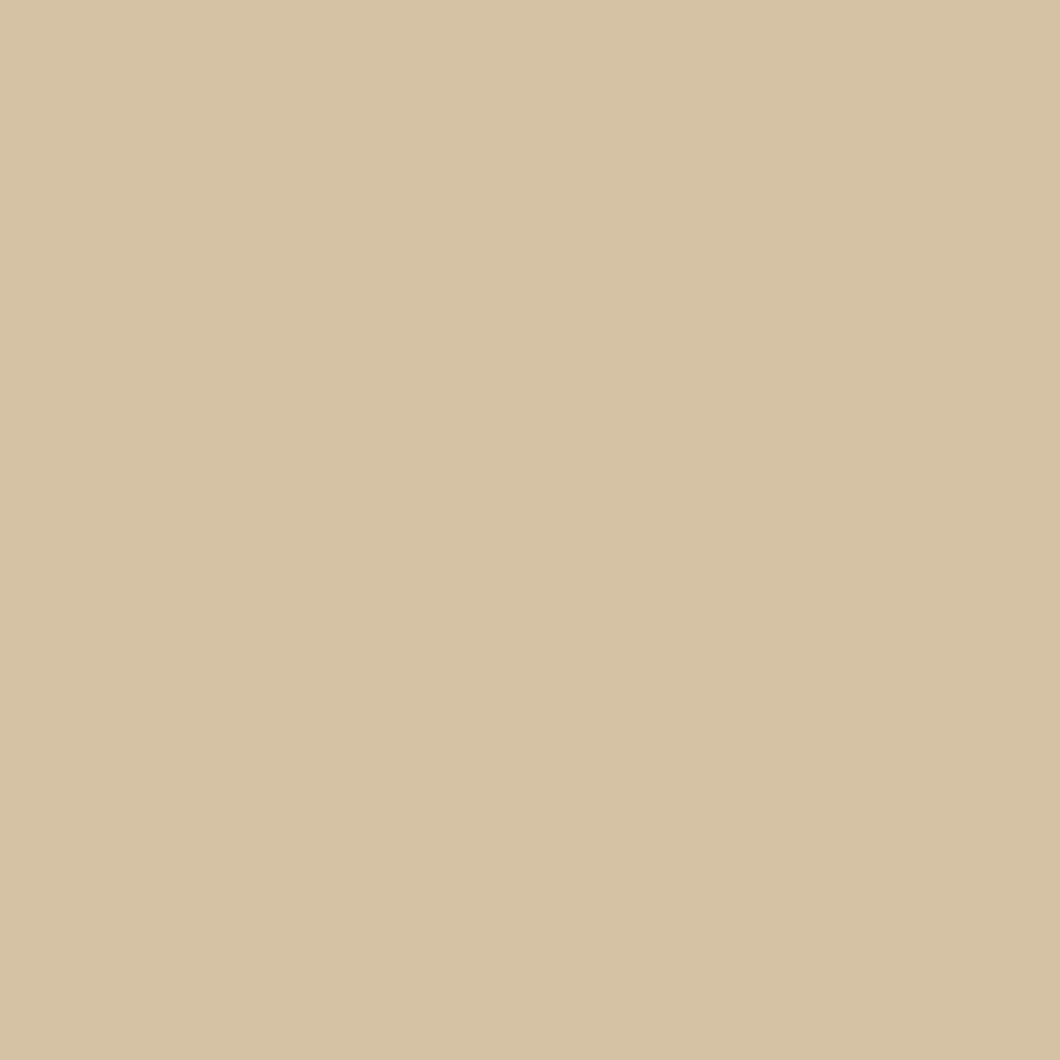 Solid State Beige - DJI Motion Controller Skin